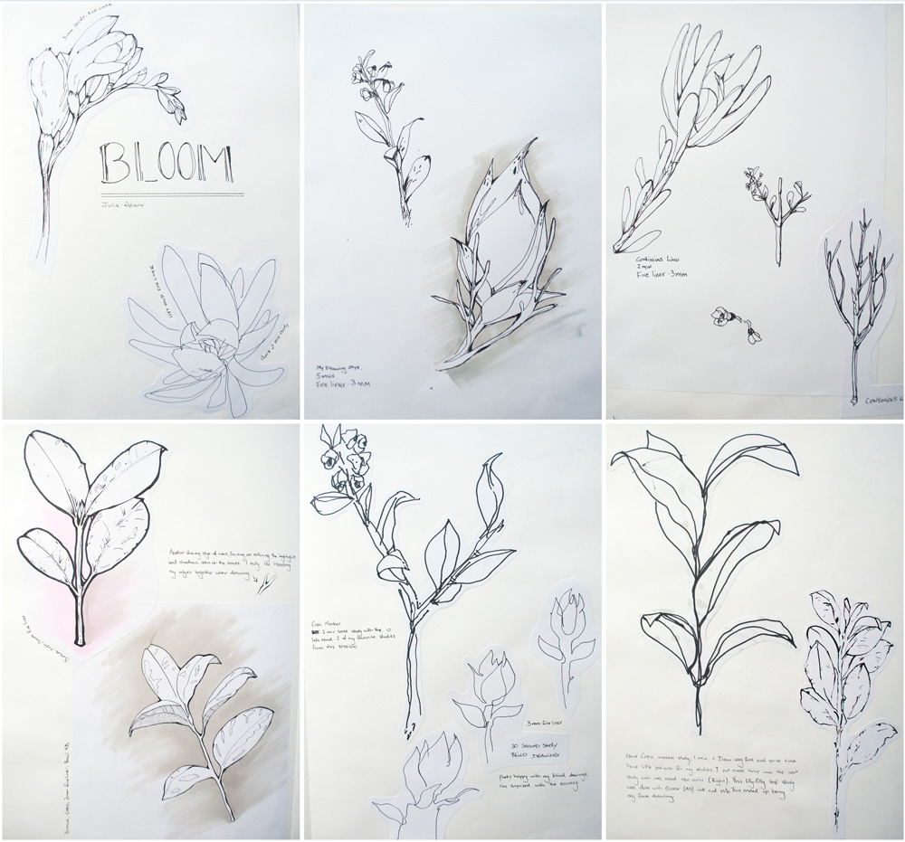 leaf and plant studies by julia alison