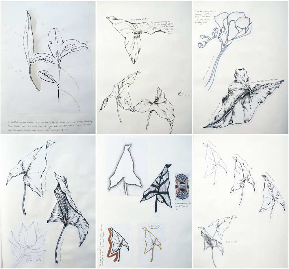 leaf and plant studies by julia alison
