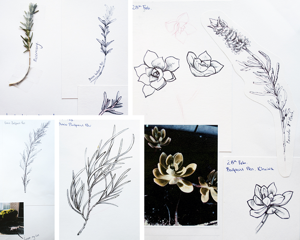 my local botanical prints by julia alison